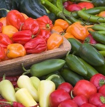 MBK 100 Pepper Seeds Mixed Peppers Seedsghost Habanero Jalapeños And Mor... - $8.87