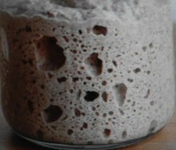 sourdough starter from the san francisco wharf culture yeast flour dough bonanza - $8.71