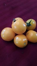 50 seeds Goldien Yellow Cherry Tomato Heirloom Seeds Rapid Bloom Enjoy - £6.28 GBP