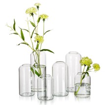 Glass Bud Vases For Flowers - Blown Modern Small Glass Vases For Centerpieces Se - £43.95 GBP