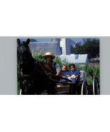 Vintage Amish Country Open Buggey Postcard - £3.79 GBP