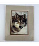 Wolf Baraboo (Wisconsin) Stephen J Lang Signed 5&quot;x7&quot; Matted Photo - £46.73 GBP