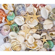 Sea Shells Mixed Beach Seashells Starfish For Beach Theme Party Wedding ... - $16.99