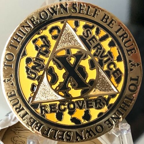 10 Year AA Medallion Leopard Animal Print Sobriety Chip Reflex Design