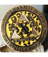 10 Year AA Medallion Leopard Animal Print Sobriety Chip Reflex Design - €13,68 EUR