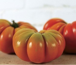 100 seeds New Genuwine Hybrid Tomato Seeds - £7.90 GBP