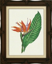 Complete Xstitch Kit with Aida BIRDS of PARADISE by Bella Filipina - £43.51 GBP