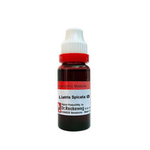 4x Dr Reckeweg Liatris Spicata Q Mother Tincture 20ml - £35.70 GBP