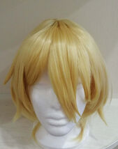 Don Quixote Wig - $29.00