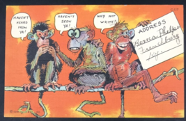 1941 Comic 3 Playful Monkeys Please Write Linen Postcard Curt Teich &amp; Co... - £9.58 GBP