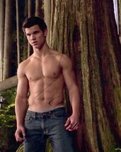 Taylor Lautner as Jacob Black Twilight 10x8 Hand Signed Photo - £30.08 GBP