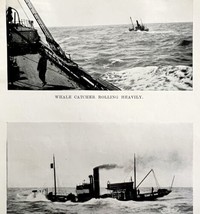 Whale Catcher In Heavy Sea 1926 Nautical Antique Print Whale Hunting DWW4B - £15.92 GBP