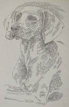 Weimaraner Dog Art Portrait #22 WORD DRAWING Kline adds your dogs name free. - £39.52 GBP