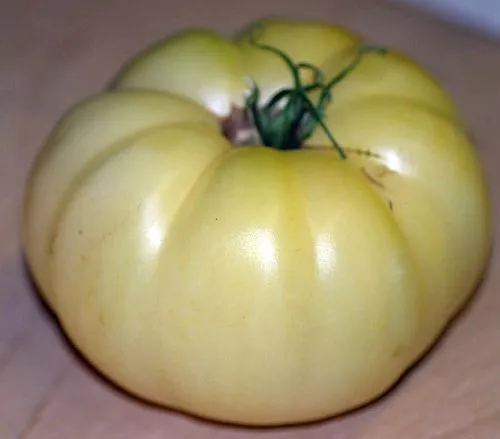 Great White Tomato Mild Flavor Low Acid Heirloom Few Seeds 20 Count Fresh Garden - £5.51 GBP