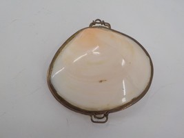 Hawaiian Polished White &amp; Pink Shell Coin Purse Display Polynesian Ethnic Nwot - £15.01 GBP