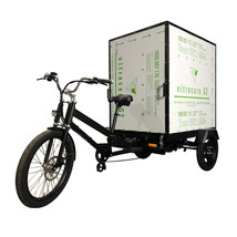 Powerful Hauling Solution | Electric Box Cargo Trike - £4,075.91 GBP