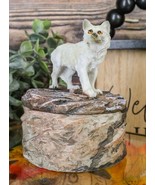 Small Albino Snow White Wolf Rounded Jewelry Decorative Box Figurine Decor - $20.36 CAD