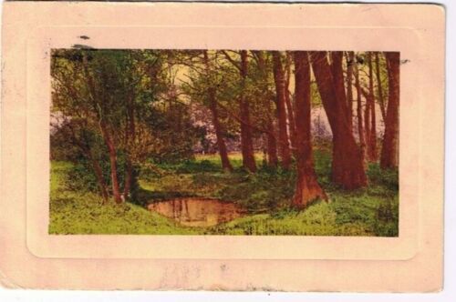 Primary image for Landscape Postcard Forest Pond Trees Woods Made in Germany 1913