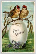 Easter Greetings Two Singing Birds On Large Egg Postcard L22 - £3.16 GBP