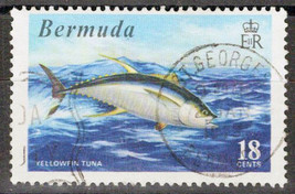 ZAYIX Bermuda 294 Used Yellowfin Tuna Game Fish Marine Life  072622S37M - £1.18 GBP