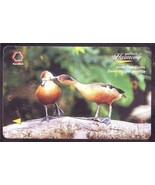 Perfect Harmony Birds S&#39;pore TransitLink Train/Bus Card - $38.03 CAD