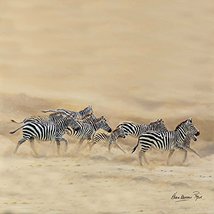 Safari Zebra Herd single coaster - Karen Lawrence Rowe Dust &amp; Stripes Artwork wi - £2.56 GBP