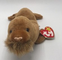 Ty Beanie Babies Paul The Walrus 1999 #3 - $4.99