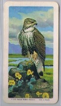 Brooke Bond Red Rose Tea Cards The Arctic #41 Rough Legged Hawk - $0.98