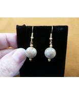 DP1-20o 12 mm REAL DINOSAUR POOP bead EARRINGS dangle Utah Dino Coprolit... - €16,38 EUR