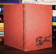 Arundel, Jocelyn;   Wesley Dennis JINGO Wild Horse of Abaco 1st Edition 1st Prin - £63.12 GBP