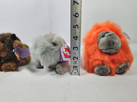 Item image 14