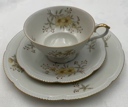 Vintage Arzberg Hutschenreuther Tea Cup Saucer 3 pc Arzberg Bavaria Germ... - £14.90 GBP