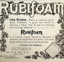 Hoyt Rubifoam Toothpaste 1897 Advertisement Victorian Dental Health ADBN... - $165.73 MXN