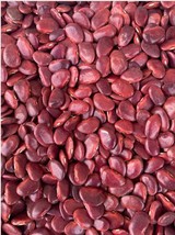 Red lima beans, Phaseolus lunatus, 50g/8 USD, shipping cost is 10 USD, p... - $30.00