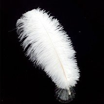 16-18 Inch White Ostrich Feathers Craft For Wedding Party Centerpieces Home Deco - £33.72 GBP