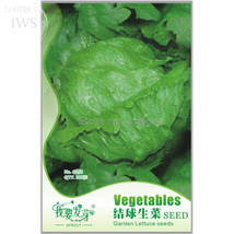 Ball Lettuce Vegetable Seeds Potted Plant Seeds, 160 seeds, natural organic vege - £2.78 GBP