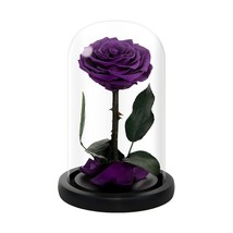 Handmade Preserved Roses In Glass Dome, Long Lasting Purple Roses Real, Glass Ro - $62.99