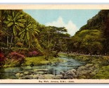 Bog Walk Saint Catherine Parish Jamaica BWI UNP Linen Postcard B19 - $3.91