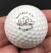 Buffalo Golf Club Wyoming Souvenir Golf Ball Acushnet Surlyn - $9.49