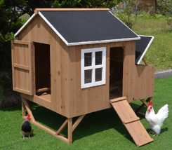 Chicken Coop Nest Box Backyard Poultry Hen House Huge 8 Bantams Extra Large - €366,30 EUR