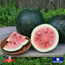 Watermelon Seeds Picnic Moon &amp; Stars Heirloom Vegetable Nongmo Garden Us Seller - $5.98