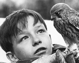 David Bradley In Kes With Hawk 16X20 Canvas Giclee - $69.99