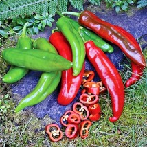 BPA 100 Seeds Anaheim Chili Pepper Seeds Organic Heirloom Vegetable Garden Conta - £7.05 GBP