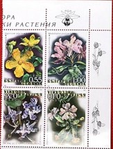 Bulgaria 4390 Mnh Flowers Nature Plants Block Zayix 0224S0079 - £2.38 GBP
