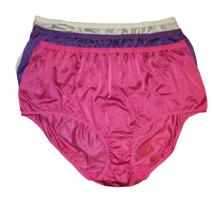 Comfort Choice 3 Pair Pack Silky Nylon Brief Panties Size 13 Plus 36W-38W - $15.00