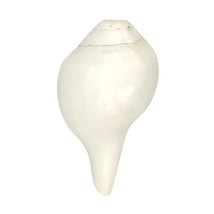 White Blowing Conch Shell Lakshmi Shankh ( 4 to 5inches, White ) FREE SHIPPING - £23.87 GBP