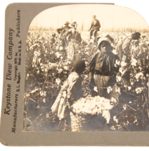 STEREOVIEW Card KEYSTONE #9506 Picking Cotton in ARKANSAS Cotton Fields ... - $12.34