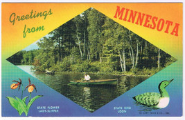 Postcard Greetings From Minnesota Canoeing on River - £2.21 GBP