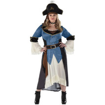 Posh Pirate Women Adult Plus 18 - 20 Costume XXL Blue Brown - £79.86 GBP