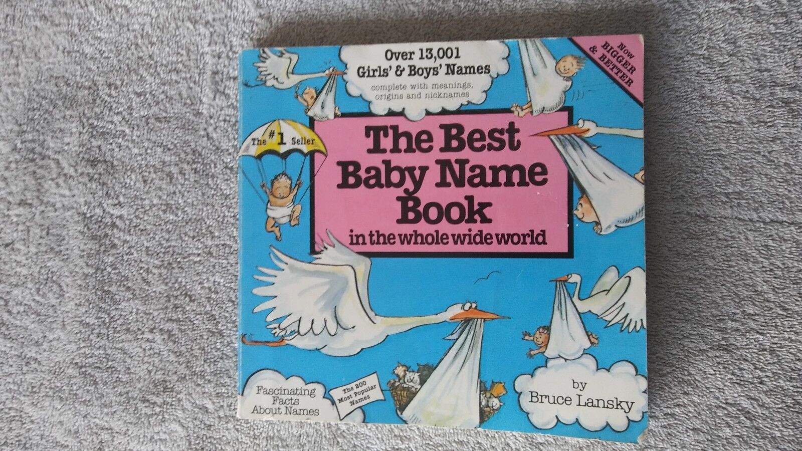 BEST BABY NAME BOOK IN THE WHOLE WIDE WORLD - BRUCE LANSKY (PAPERBACK) - $6.93